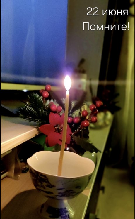 img (8)